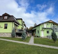 Villa in Štôla, Poprad District, Prešov Region, Slovakia, with a green facade and a meticulously maintained garden.