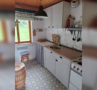 A compact kitchen in a family house with retro decor and a wooden ceiling.