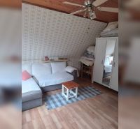 Attic room in a family house with a sofa, carpet, and wooden decor flooring.
