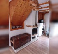 Interior of a family house with a fireplace, wooden decor flooring, and storage space.