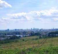 Vineyards on Vtáčikova Road in Bratislava - Rača with a panoramic view of the city.