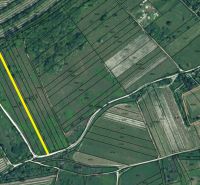 Cadastral map of vineyards on Vtáčikova cesta, Bratislava - Rača, with the plot marked.