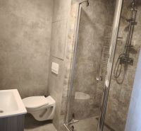 Bathroom in a 2-room apartment with a walk-in shower and toilet, all in a grey color scheme.