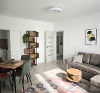 Living room in a two-room apartment with a sofa, dining table, and decorations, wooden-patterned floor.