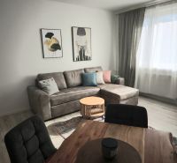 Living room in a two-room apartment with a comfortable sofa and decorations on the wall.