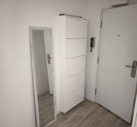 Entrance hallway with white furniture and wood-patterned flooring in a 2-room apartment.