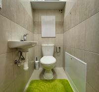 A toilet in a 3-room apartment with a shelf and a green mat.