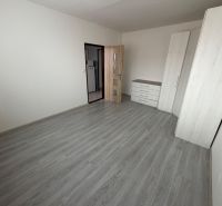 A room with a wooden decor floor, wardrobes, and a dresser in a studio apartment.