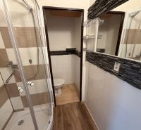 A compact bathroom in a studio apartment with a wooden decor floor and a shower corner.