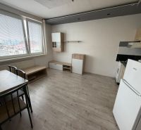 Living area of a studio apartment with a kitchenette and a floor with a wood decor.