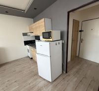 Kitchen in a studio apartment with a refrigerator and a wooden decor floor.