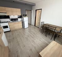 A kitchen with wooden decor and a dining table in a studio apartment.