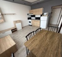 Kitchen and dining area with wood-patterned flooring in a studio apartment.