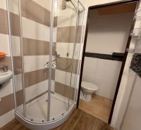 Shower corner and floor with wood decor in the bathroom of a studio apartment.
