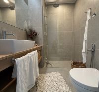 Bathroom in a family house with an open shower, sink, and decorative mat.