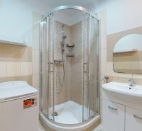 Bathroom with a shower, washing machine, and sink in a 3-room apartment.