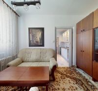 Living room with a sofa, carpet, wooden wall, and a view into the kitchen in a 3-room apartment.
