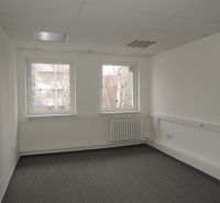 White walls, gray carpet, two windows, radiator, ceiling lighting in the office.
