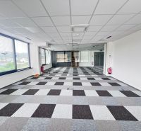 Offices with a checkered carpet and large windows letting in light.