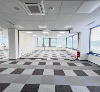 Empty office with carpet tiles and large windows.