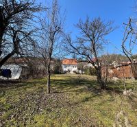 A garden in the Banská Bystrica district around a family house with a lawn and trees.