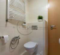 Bathroom with ceramic tiles, toilet, and heating ladder in a family house.
