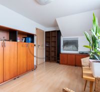 A room with wooden decor, cabinets, and plants in a family house.