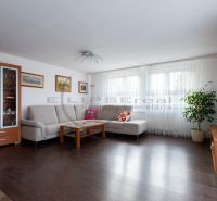 Living room in a family house with a sofa, television, and wooden-patterned flooring.
