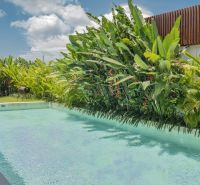 A pool and lush greenery in the garden of a villa in Bali under a clear sky.