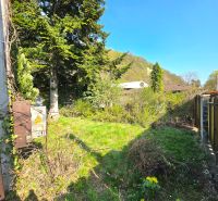 A garden in the Krásna district on 1st May Street with conifers and a lawn.