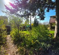 Garden on 1st May Street, Košice - Krásna district, surrounded by trees and shrubs.