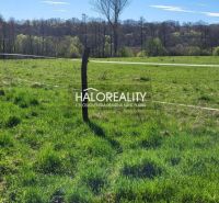 Green fields surrounded by trees in a residential area in Lutila.