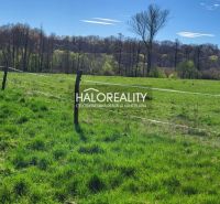 Green meadow and fence in the background of the forest, suitable for residential land in Lutila.