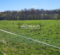 Land - housing in Lutila: extensive grassy areas surrounded by trees and fencing.