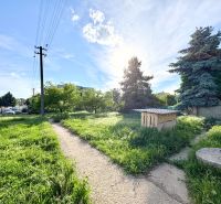 A garden with grassy paths at a family house in Šoporňa.