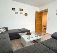 Living room in a two-room apartment with a sofa, glass table, and wooden decor flooring.