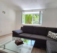 Living room with a sofa, glass table, and window in a two-room apartment, floor with wood decor.