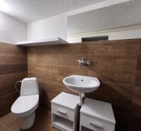 A bathroom with a wood-patterned floor and sanitary ware in a family house.