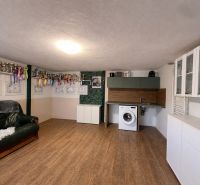 Family house with a sofa, washing machine, and trophies on a shelf. Floor with wooden decor.
