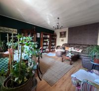 Living room in a family house with a sofa, bookshelf, and plants, floor with wooden decor.