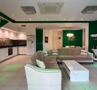 Recreational apartment with green walls, white kitchen, sofa, and washable floor.