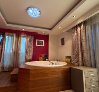 Recreational apartment with a hot tub, wood-patterned flooring, pink walls, television, curtains.