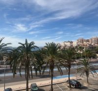 Palm trees line the path at the Recreational Apartment in La Manga del Mar Menor.