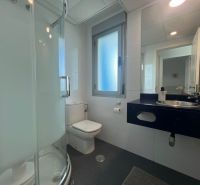 Bathroom with toilet, shower, and sink in a holiday apartment.