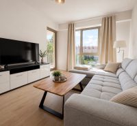 Living room in a two-room apartment with a sofa and a wooden decor floor.