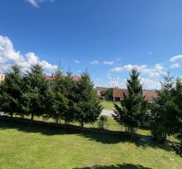 A well-maintained lawn and trees with a blue sky in Pribylina behind a 3-room apartment.