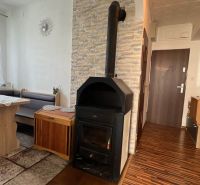 Interior of a 3-room apartment with a fireplace stove and flooring with a wood decor.