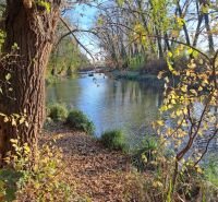 A river surrounded by autumn nature in Kráľov Brod, Residential plots.