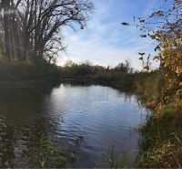 A river surrounded by trees in Kráľov Brod, an opportunity for plots - housing.
