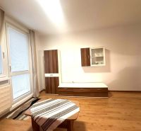Recreational apartment with wood-patterned flooring, furniture, and a large window.